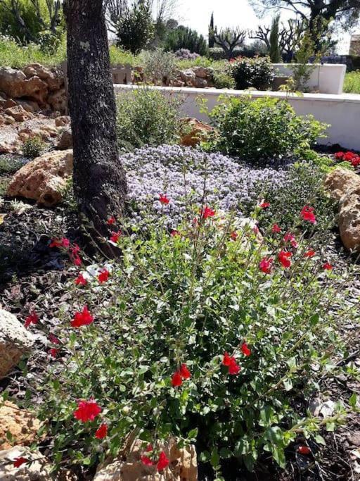 Maison 2 Ou 4 Personnes Jardin Parking Les Amandiers 洛尔格 外观 照片