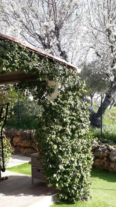 Maison 2 Ou 4 Personnes Jardin Parking Les Amandiers 洛尔格 外观 照片